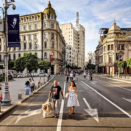 Enjoy A Premium Downtown Apartment! Modern Art Deco Building Apartment